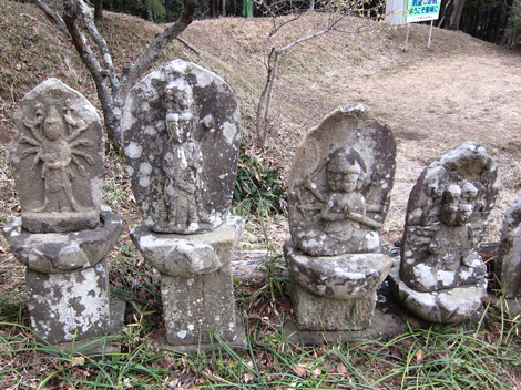 20190214hike (354)